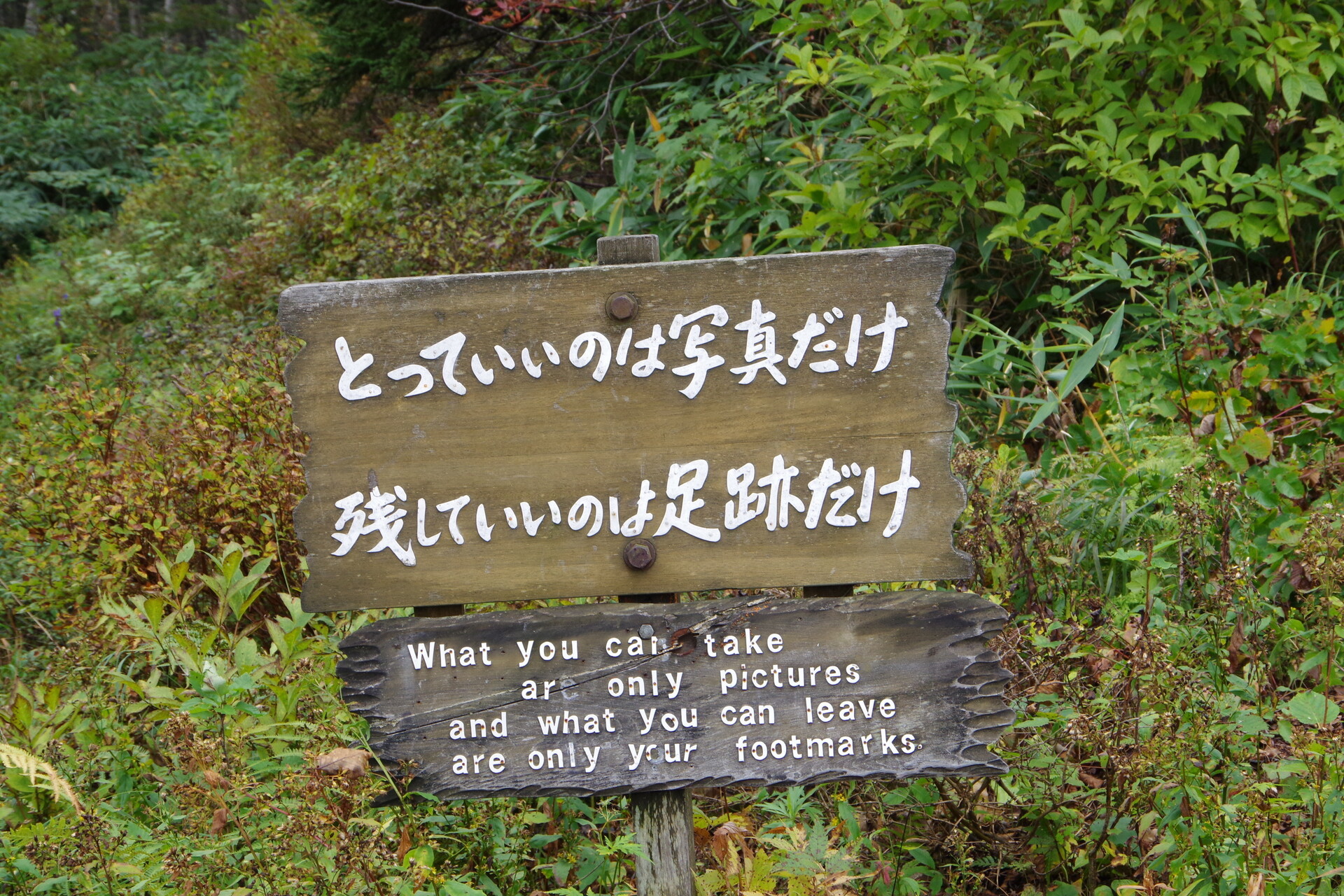 注意看板