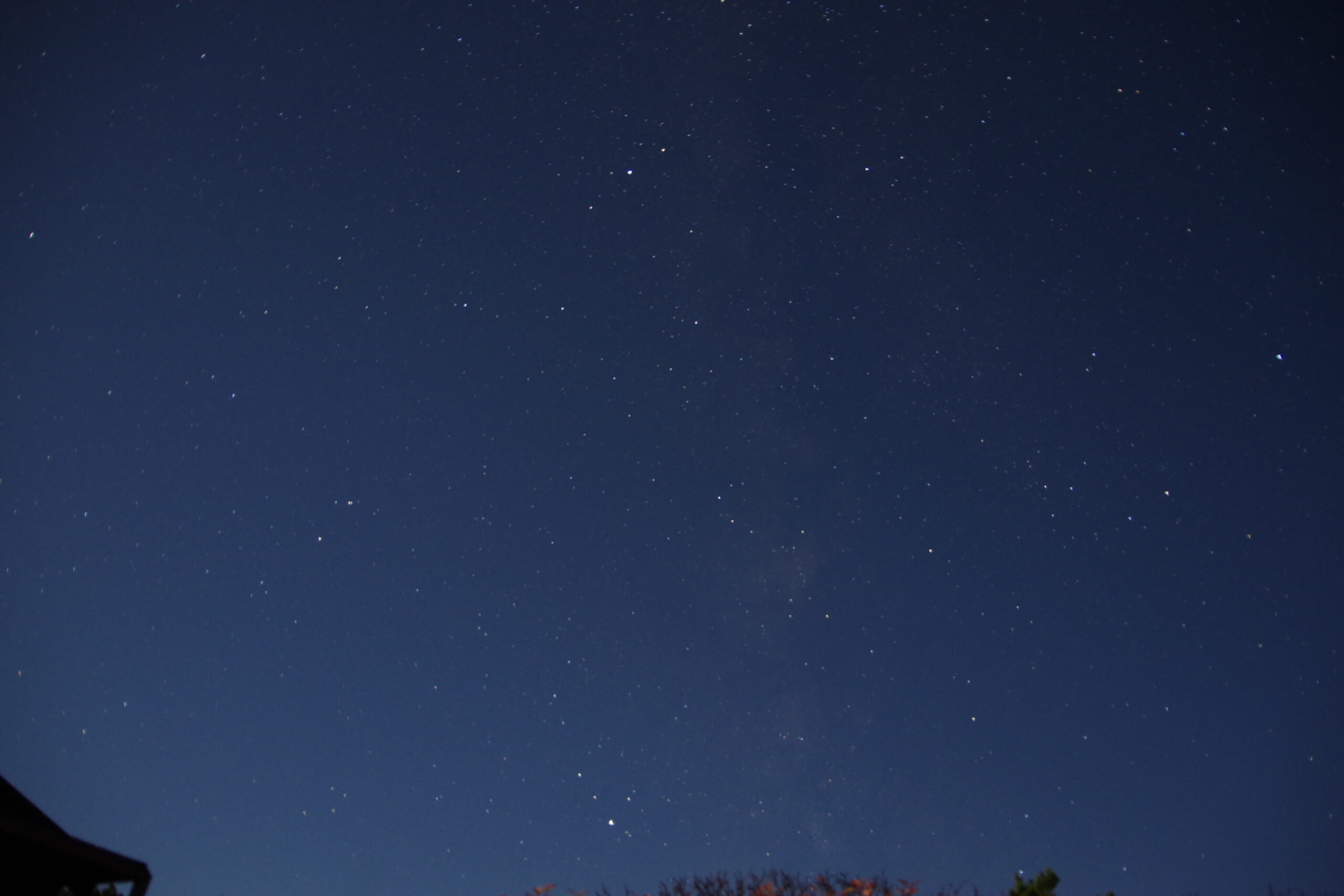 星景天の川