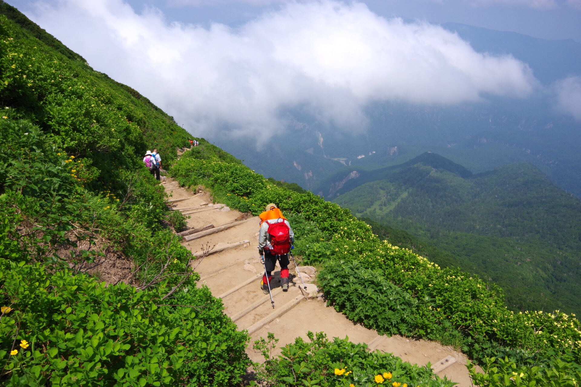 登山道から下り方向を望む